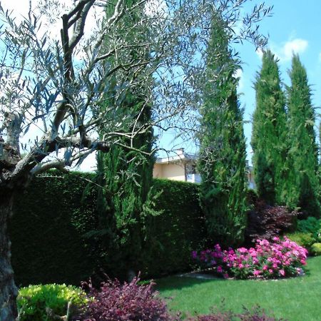 B&B Ai Cipressi Mestrino Luaran gambar